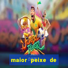 maior peixe de couro do brasil